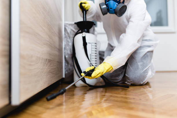 Professional Pest Control in Shackle Island, TN