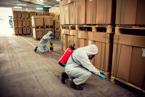 Best Termite Control Services  in Shackle Island, TN