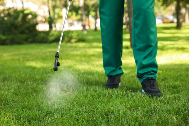 Best Insect Control  in Shackle Island, TN