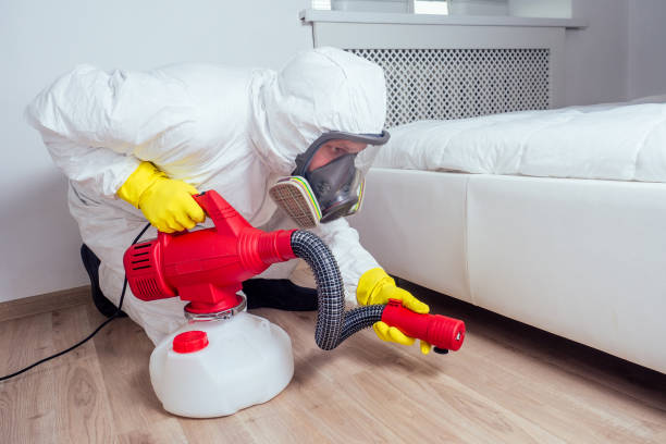 Best Affordable Pest Control Services  in Shackle Island, TN