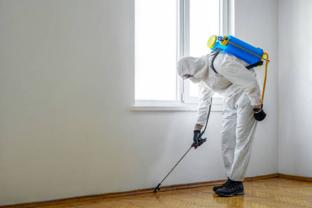 Best Pest Prevention Services  in Shackle Island, TN
