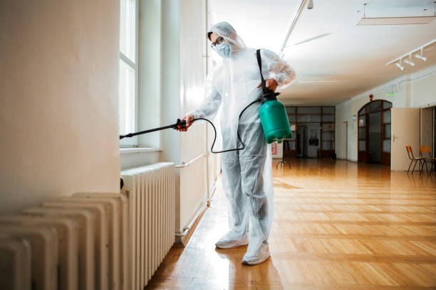 Best Emergency Pest Control  in Shackle Island, TN
